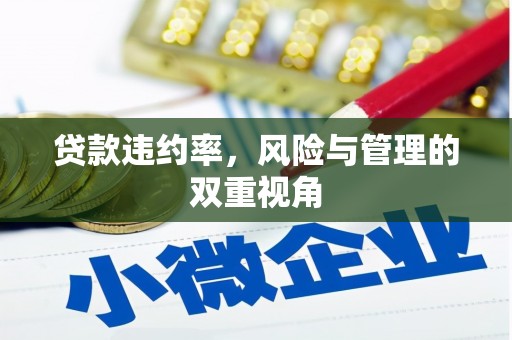 邓州贷款违约率，风险与管理的双重视角