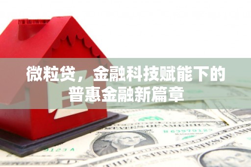 邓州微粒贷，金融科技赋能下的普惠金融新篇章