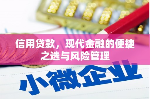邓州信用贷款，现代金融的便捷之选与风险管理