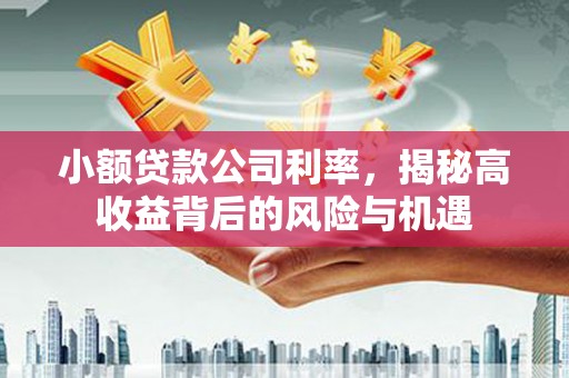 邓州小额贷款公司利率，揭秘高收益背后的风险与机遇