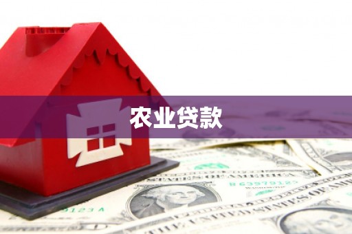 邓州农业贷款