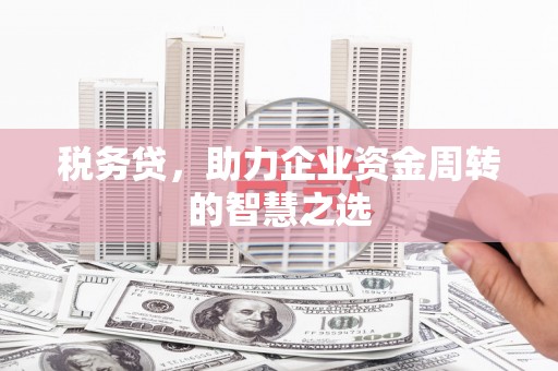 邓州税务贷，助力企业资金周转的智慧之选