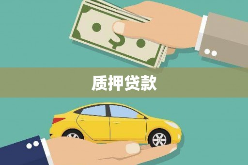 邓州质押贷款