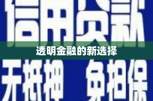 邓州透明金融的新选择