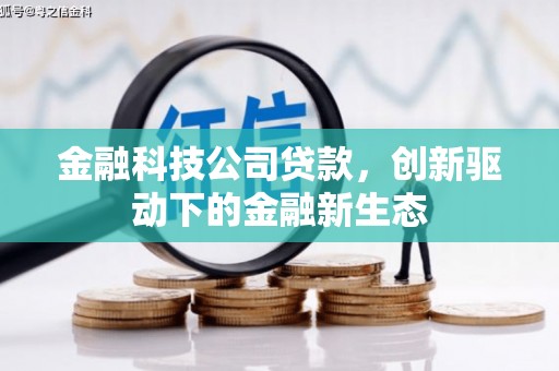邓州金融科技公司贷款，创新驱动下的金融新生态