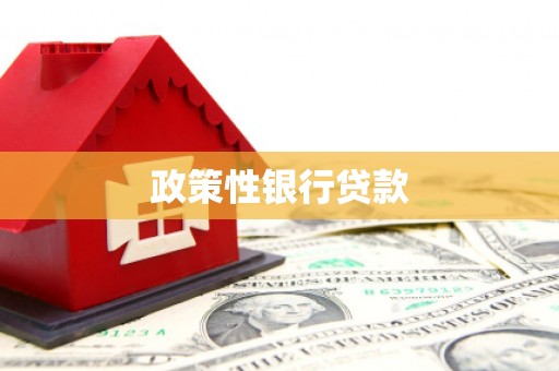 邓州政策性银行贷款