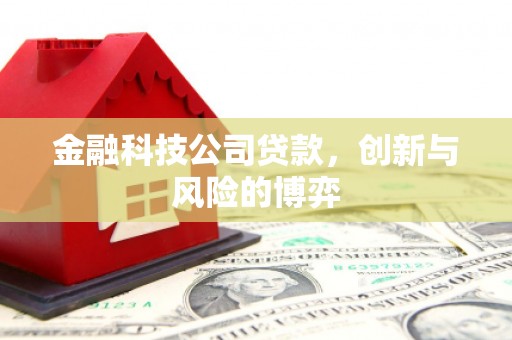 邓州金融科技公司贷款，创新与风险的博弈