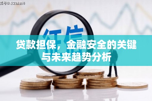 邓州贷款担保，金融安全的关键与未来趋势分析