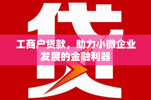 邓州工商户贷款，助力小微企业发展的金融利器