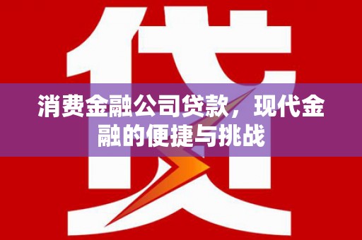 邓州消费金融公司贷款，现代金融的便捷与挑战
