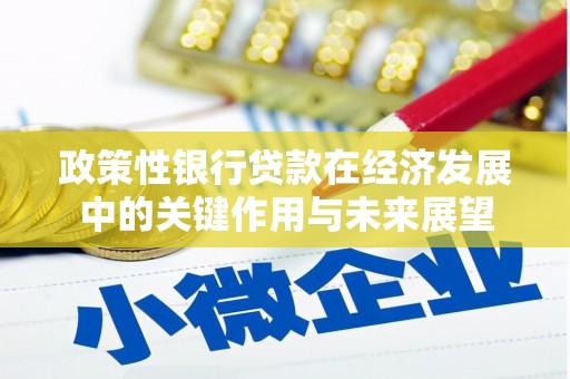 邓州政策性银行贷款在经济发展中的关键作用与未来展望