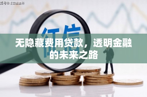 邓州无隐藏费用贷款，透明金融的未来之路