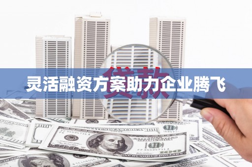 邓州灵活融资方案助力企业腾飞
