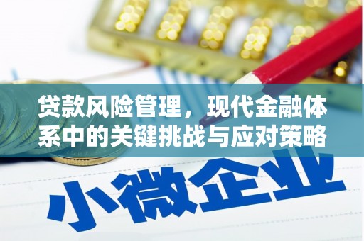邓州贷款风险管理，现代金融体系中的关键挑战与应对策略