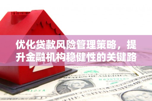 邓州优化贷款风险管理策略，提升金融机构稳健性的关键路径