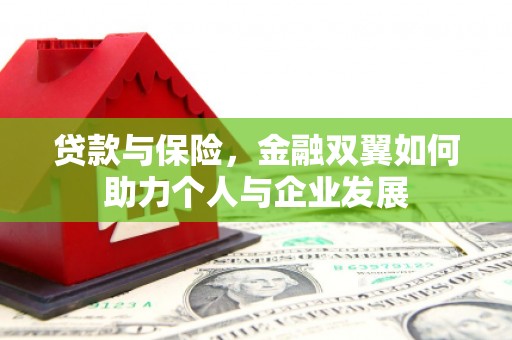 邓州贷款与保险，金融双翼如何助力个人与企业发展