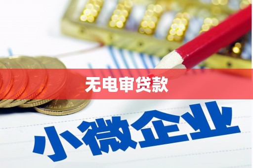 邓州无电审贷款