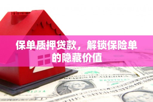 邓州保单质押贷款，解锁保险单的隐藏价值