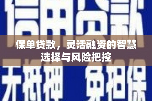 邓州保单贷款，灵活融资的智慧选择与风险把控