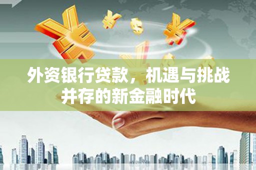 邓州外资银行贷款，机遇与挑战并存的新金融时代