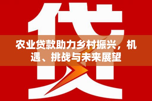 邓州农业贷款助力乡村振兴，机遇、挑战与未来展望