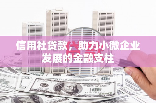 邓州信用社贷款，助力小微企业发展的金融支柱