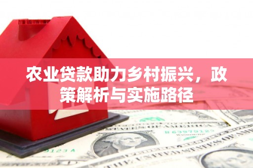邓州农业贷款助力乡村振兴，政策解析与实施路径