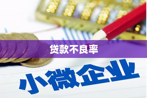 邓州贷款不良率