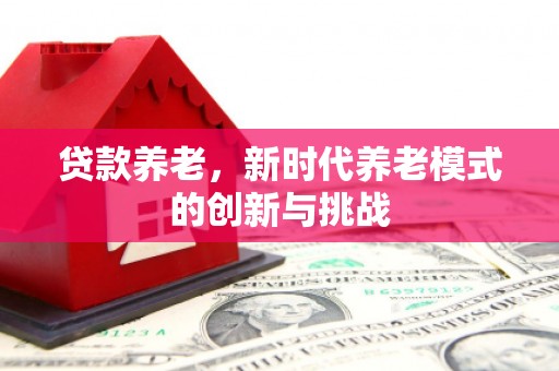 邓州贷款养老，新时代养老模式的创新与挑战