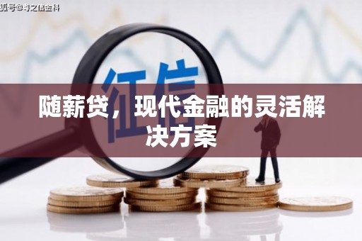 邓州随薪贷，现代金融的灵活解决方案