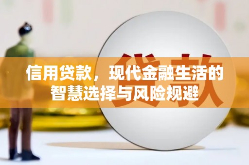 邓州信用贷款，现代金融生活的智慧选择与风险规避