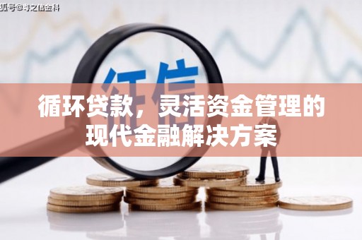 邓州循环贷款，灵活资金管理的现代金融解决方案