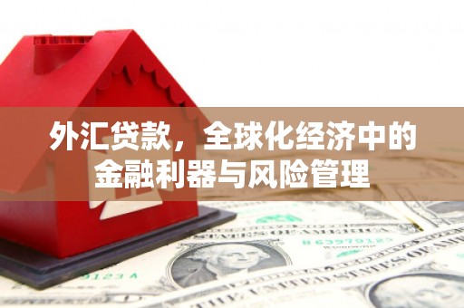 邓州外汇贷款，全球化经济中的金融利器与风险管理