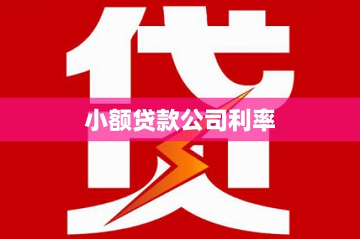 邓州小额贷款公司利率