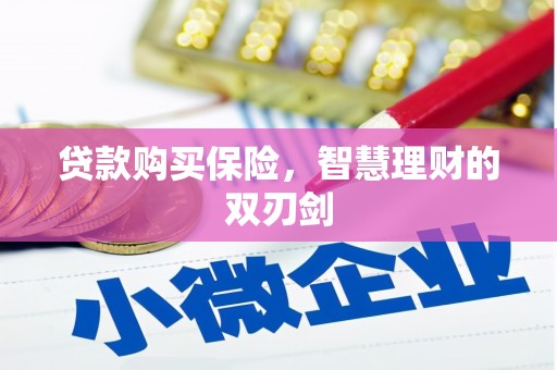 邓州贷款购买保险，智慧理财的双刃剑