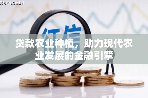 邓州贷款农业种植，助力现代农业发展的金融引擎