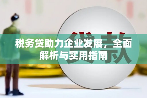 邓州税务贷助力企业发展，全面解析与实用指南