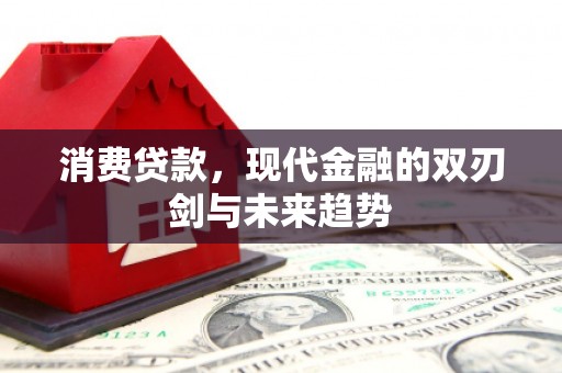 邓州消费贷款，现代金融的双刃剑与未来趋势
