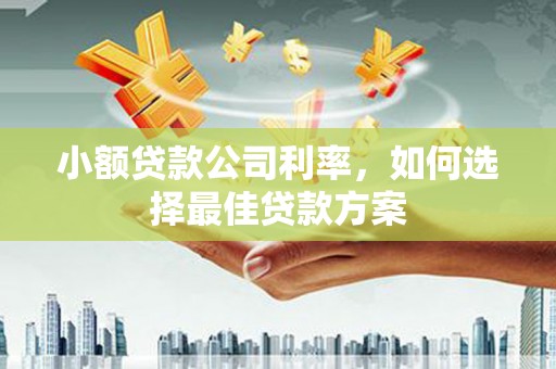邓州小额贷款公司利率，如何选择最佳贷款方案