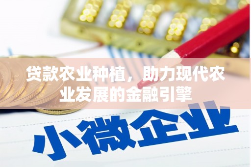 邓州贷款农业种植，助力现代农业发展的金融引擎
