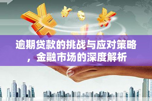 邓州逾期贷款的挑战与应对策略，金融市场的深度解析