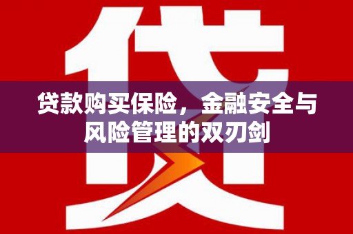 邓州贷款购买保险，金融安全与风险管理的双刃剑