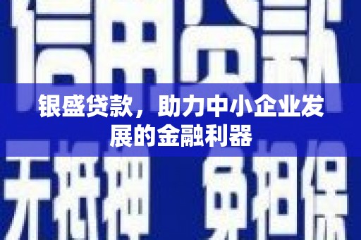 邓州银盛贷款，助力中小企业发展的金融利器