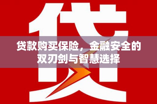 邓州贷款购买保险，金融安全的双刃剑与智慧选择