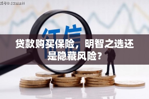 邓州贷款购买保险，明智之选还是隐藏风险？