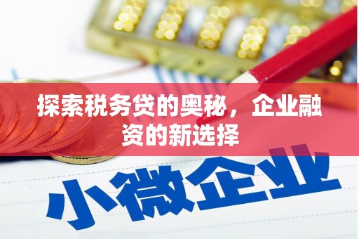 邓州探索税务贷的奥秘，企业融资的新选择