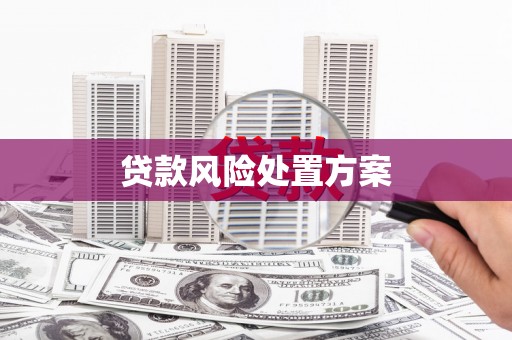 邓州贷款风险处置方案
