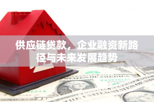 邓州供应链贷款，企业融资新路径与未来发展趋势