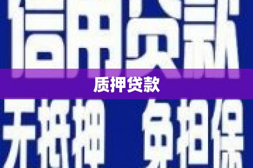 邓州质押贷款
