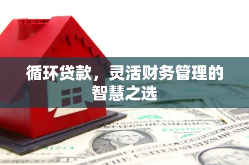 邓州循环贷款，灵活财务管理的智慧之选